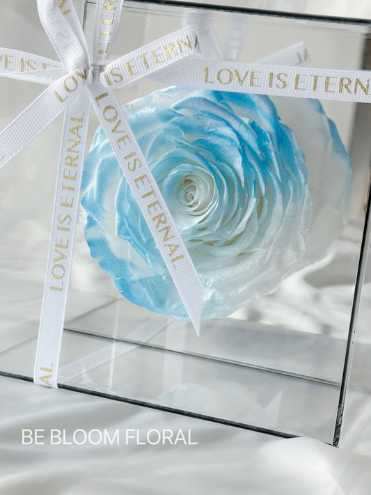 Huge Preserved Rose Mirror Box